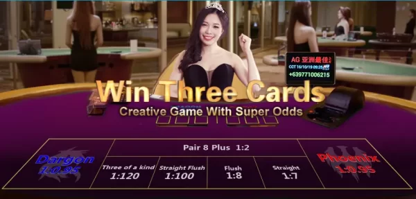 아시아 게이밍 쓰리 카드 게임 영상